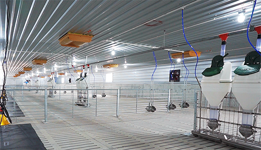 湛江北坡三合14000育肥五场